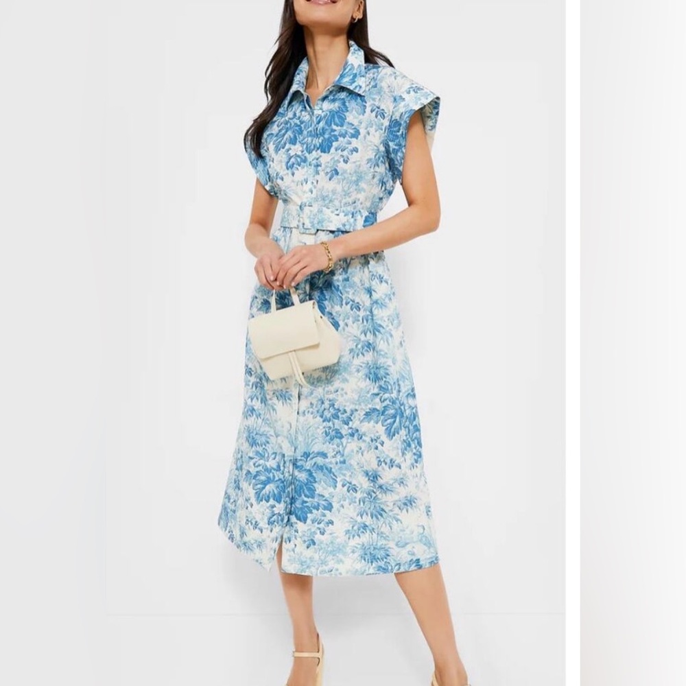 Tuckernuck Blue Misty Toile Chloe Dress NWOT